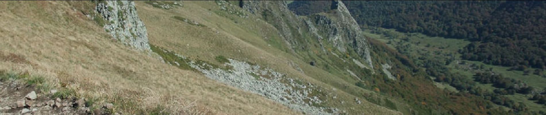 Trail Walking Mont-Dore - Le Puy de Sancy - Photo