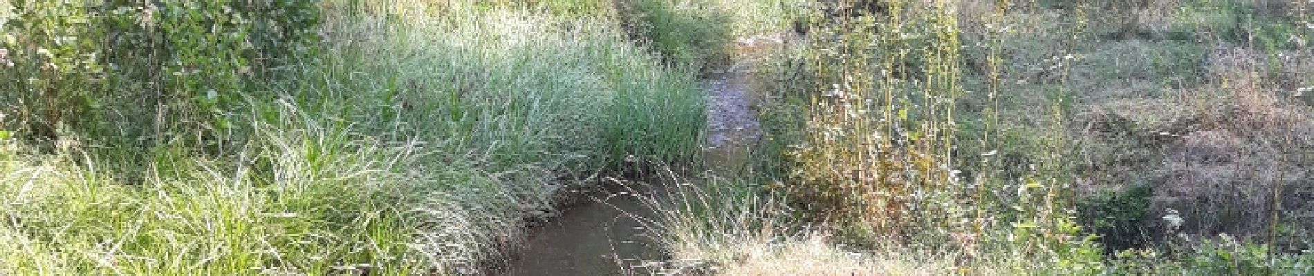 Tocht Mountainbike Habay - Entre Gaume et Ardenne - Photo