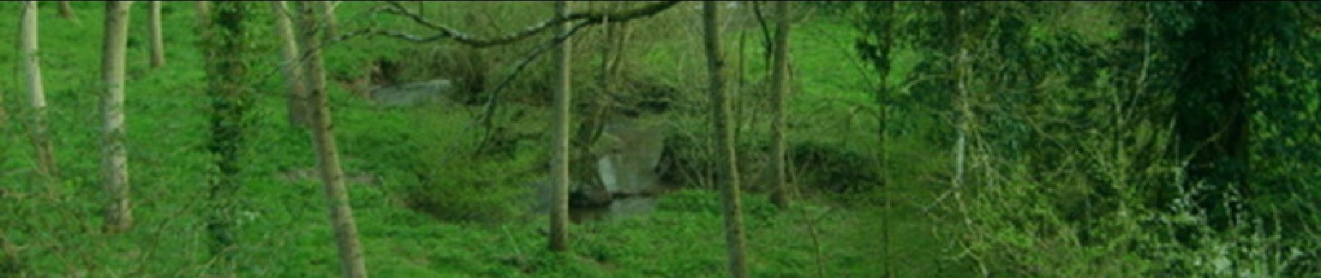 Randonnée V.T.T. Le May-sur-Èvre -  La Randonnée De La Fressure - Photo