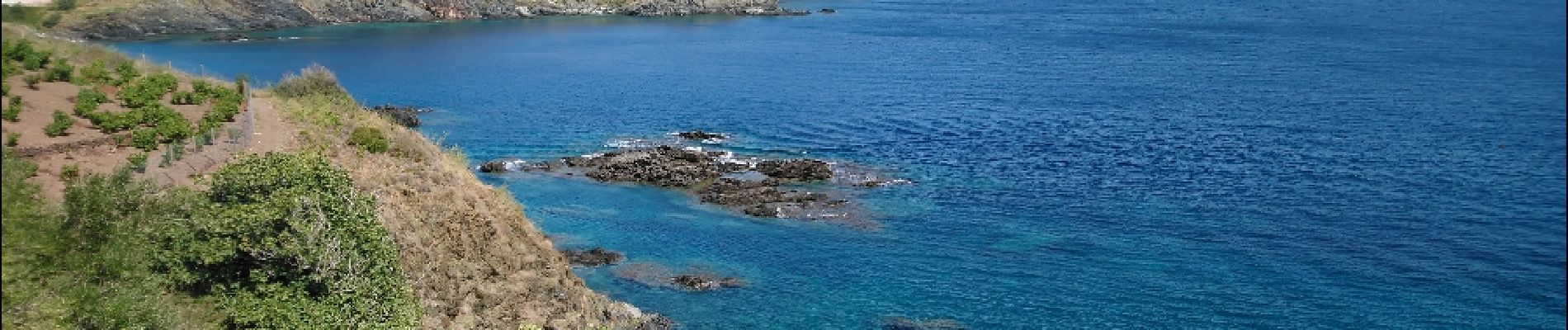 Randonnée Marche Cerbère - Cerbère - Cap Cerbère - Plage de Peyrefite - 12.9km 440m 4h10 (40mn) - 2018 09 06 - Photo