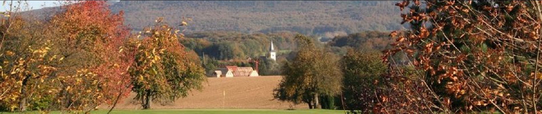 Randonnée Vélo Ferrette - La balade des étangs -  Ferrette - Photo