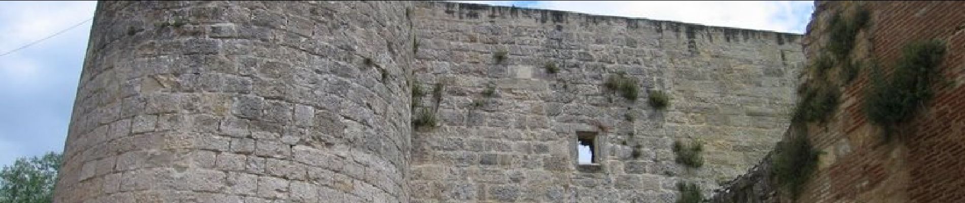 Tocht Stappen Nègrepelisse - Circuit des terres de l'Aveyron - Nègrepelisse - Photo