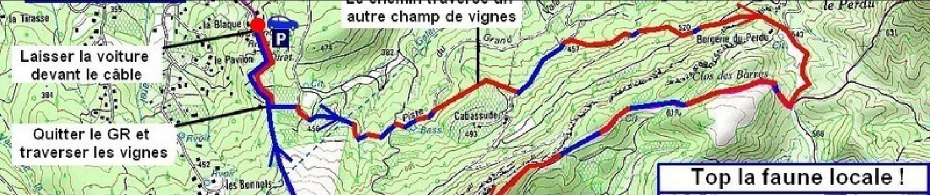 Randonnée Course à pied Trets - Regagnas - Ermitage de Saint Jean du Puy - Photo