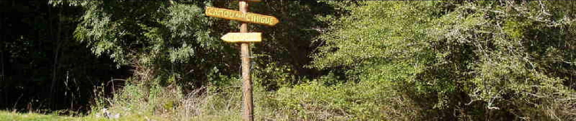 Trail Walking Camou-Cihigue - Sentiers des Lamiñaks - Camou - Cihigue - Photo