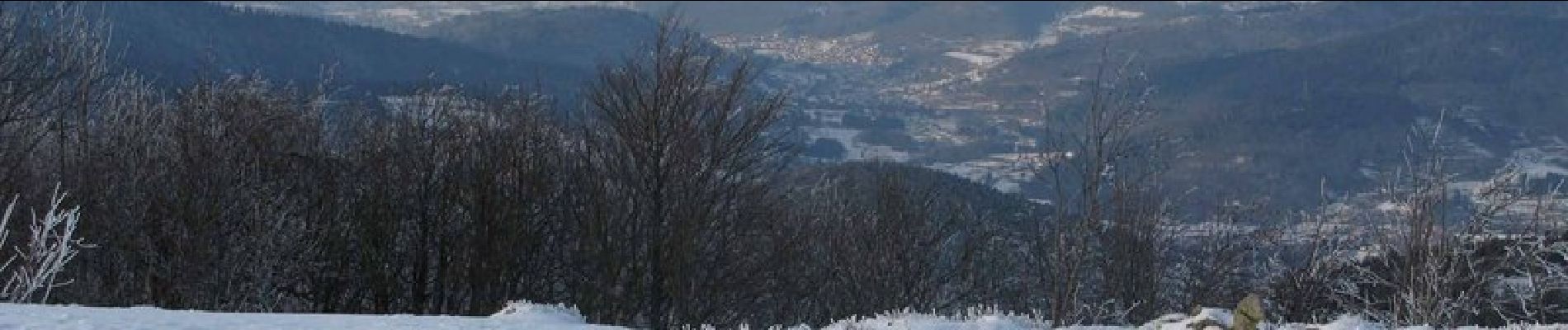 Randonnée Raquettes à neige Saint-Maurice-sur-Moselle - Vosges en Raquettes : Ballon d'Alsace - Photo