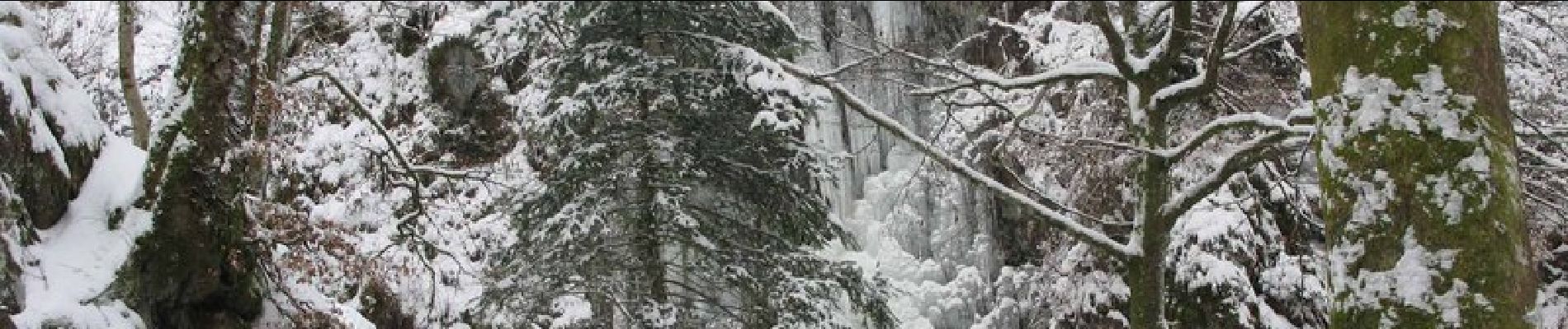 Randonnée Raquettes à neige Ramonchamp - Vosges en Raquettes : Les mille étangs - Photo