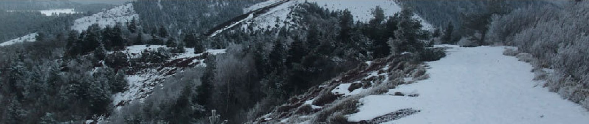 Excursión Raquetas de nieve Saint-Genès-Champanelle - Puy d'Auvergne - Laschamps - Photo