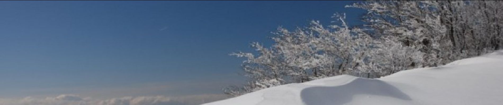 Tocht Sneeuwschoenen Vassieux-en-Vercors - Col de Vassieux - Photo
