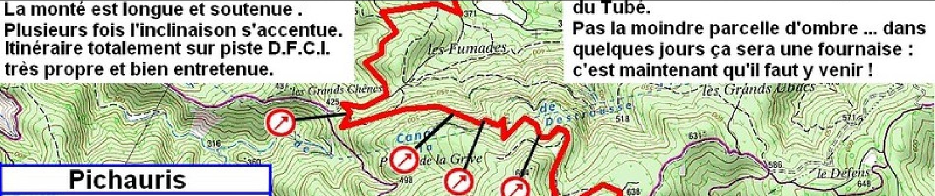 Randonnée Course à pied Allauch - Garlaban - Pichauris - Photo
