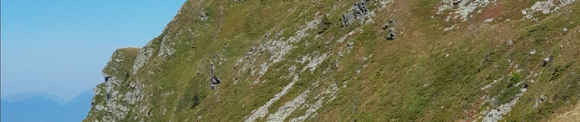 Tocht Stappen Le Haut-Bréda - roche noire - Photo