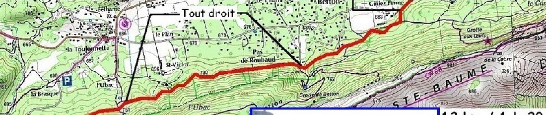 Tour Laufen Plan-d'Aups-Sainte-Baume - Sainte Baume - Plan d'Aups - Photo