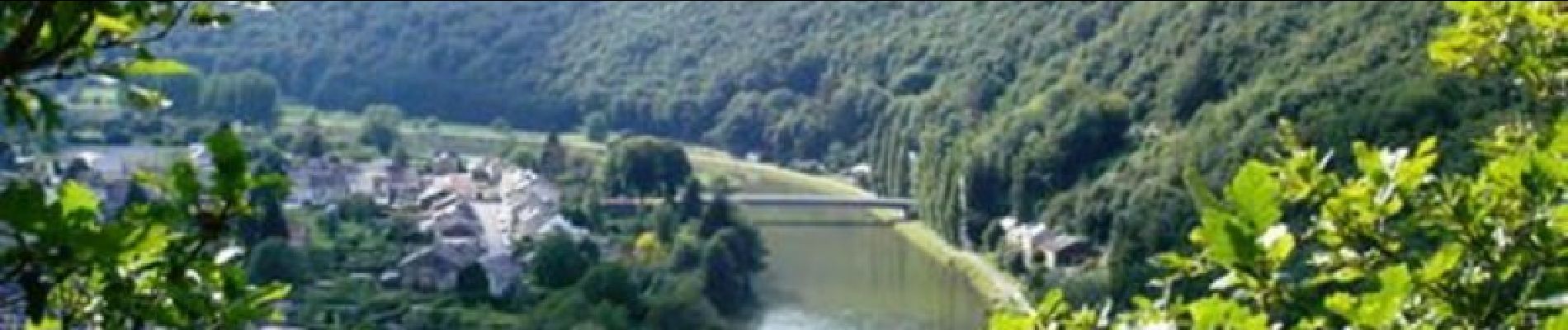 Tour Mountainbike Joigny-sur-Meuse - Joigny sur Meuse et le GR Ardennes - Eifel - Photo