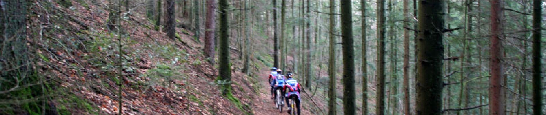 Trail Mountain bike Lièpvre - Espace VTT FFC Val d'Argent - Circuit n°16 - Sur les pas de Fulrad - Photo