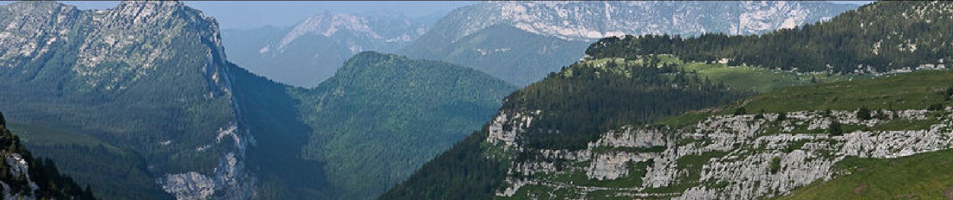 Trail Walking Saint-Pierre-d'Entremont - La Croix de l'Alpe par le Vallon de Pratcel - Photo