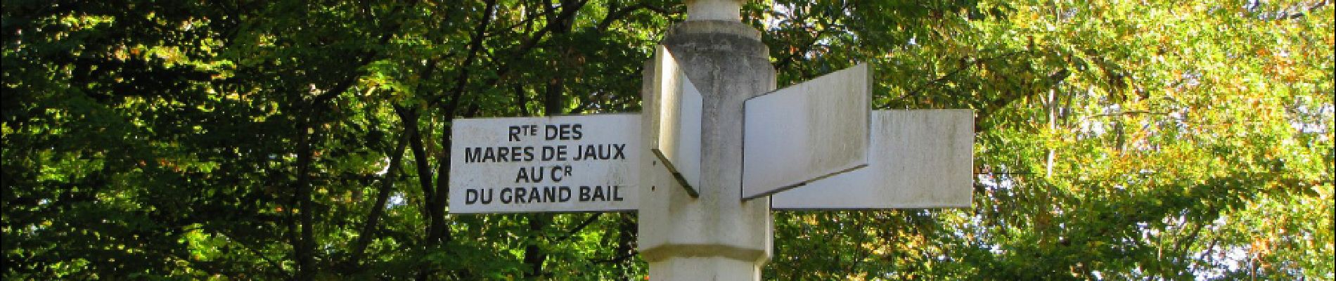 Punto di interesse Saint-Jean-aux-Bois - Point 40 - Photo
