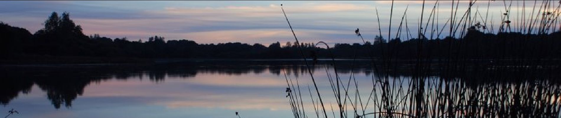 Tour Wandern Plougras - Eoliennes et étang de Beffou - Plougras - Photo