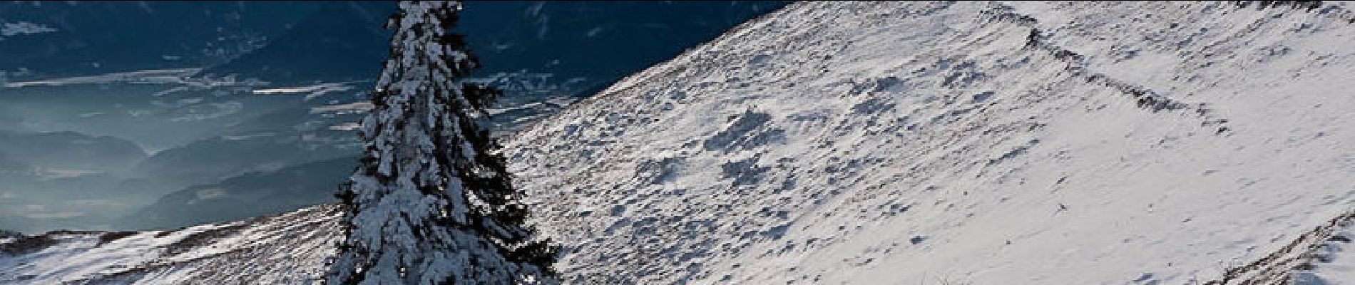 Trail Snowshoes La Motte-d'Aveillans - Le Sénépy depuis les Signaraux - Photo