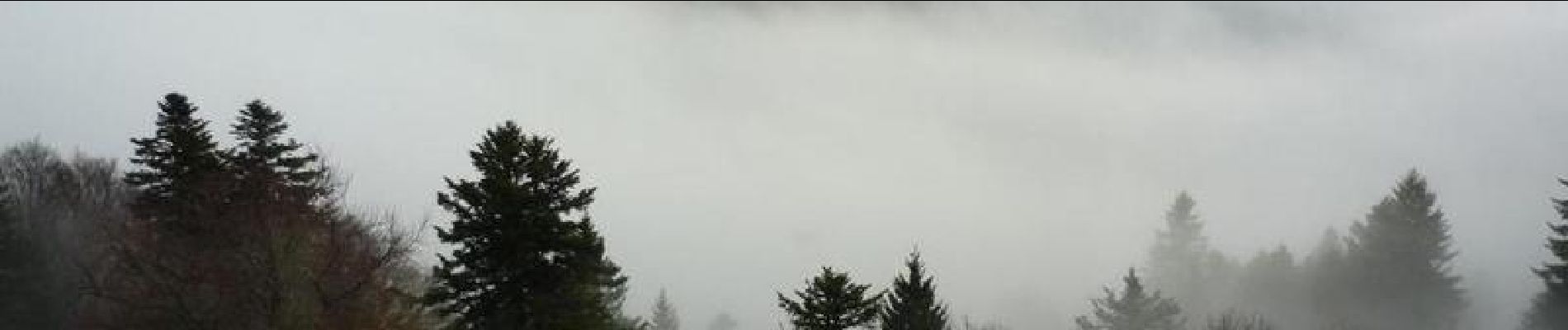 Randonnée Raquettes à neige Stosswihr - Crêtes des Vosges en hiver - De Schallern à Steinlebach - Photo