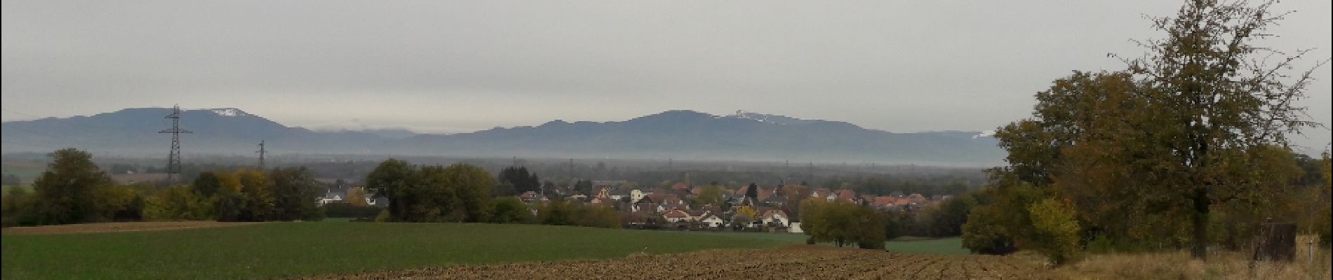 Tour Wandern Heimsbrunn - 18.11.01.Heimsbrunn Morschwiller-le-Bas retour  - Photo