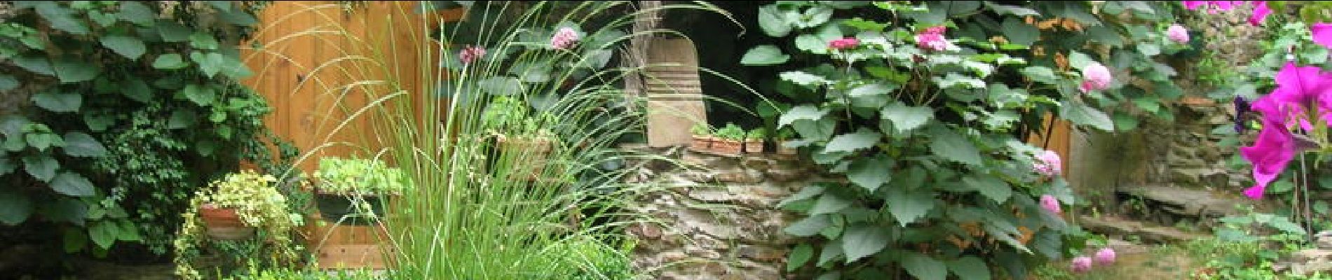 Percorso Marcia Le Poujol-sur-Orb - Du Poujol sur Orb à la crète de Coudière - Photo