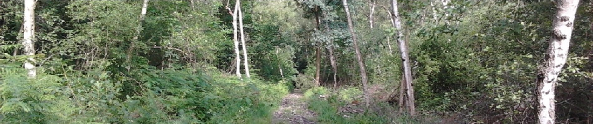Randonnée Marche Taverny - Boucle en forêt à partir de Taverny - Photo