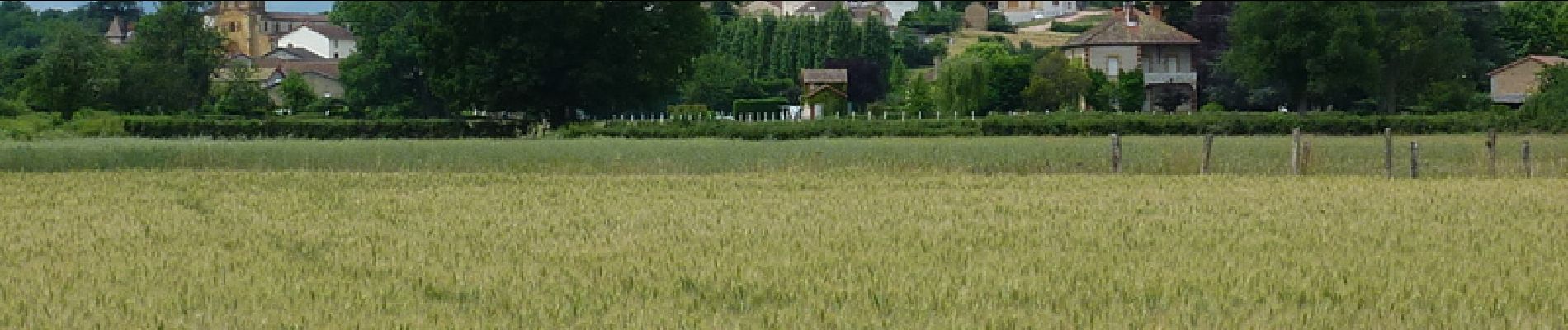 Tour Mountainbike Melay - Centre VTT FFC en Brionnais - Melay - Parcours N°5 - Photo