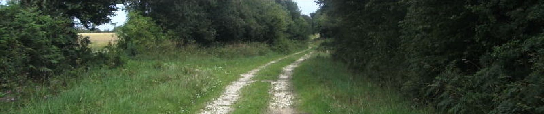 Excursión Bici de montaña Sénoville - Tour de Senoville en VTT - Photo