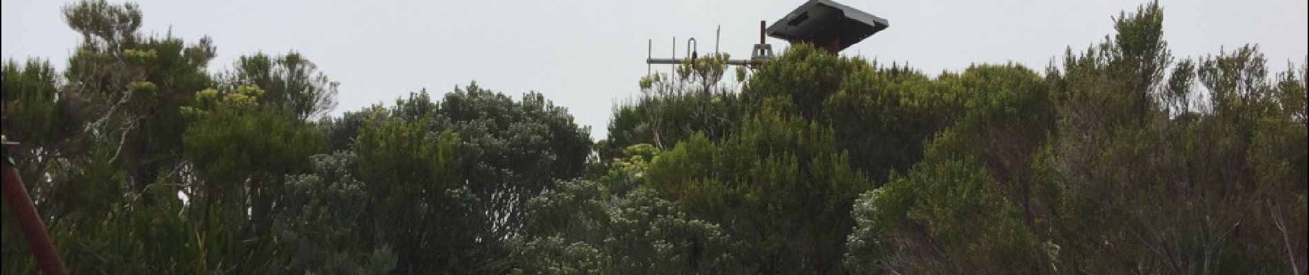 Tour Wandern Sainte-Rose - volcan nez coupe du tremble - Photo