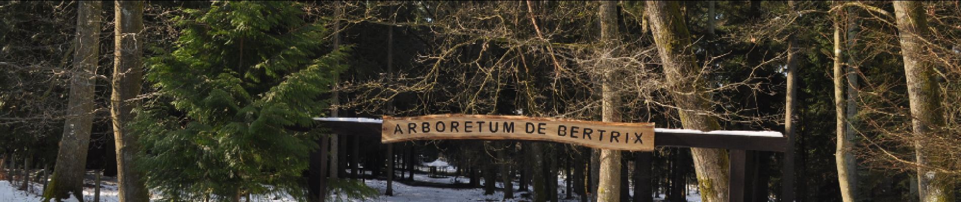 Point d'intérêt Bertrix - Possibilité de visiter un arboretum - Photo