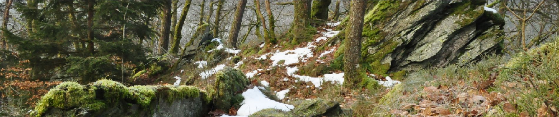 POI Bertrix - Les crêtes - Photo