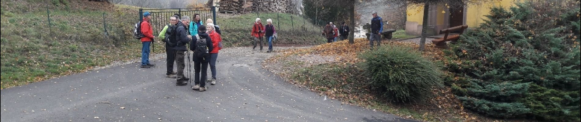 Trail Walking Aspach-Michelbach - 18.11.15.AspachHt.Bourbach - Photo