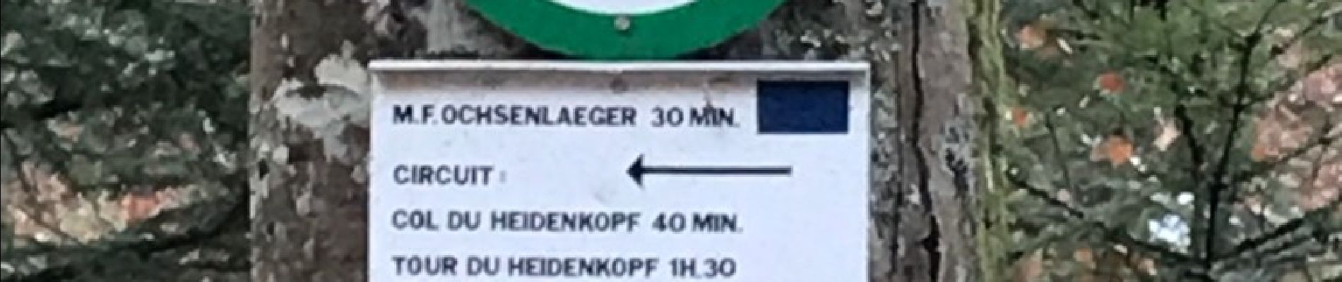 Tocht Stappen Rosheim - verloreneck tour heidenkopf  - Photo