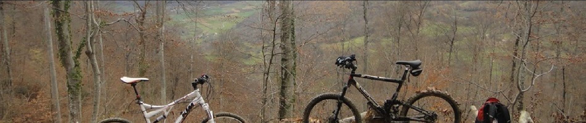 Trail Mountain bike Arbas - Circuit VTT n°32 Arbas - Photo