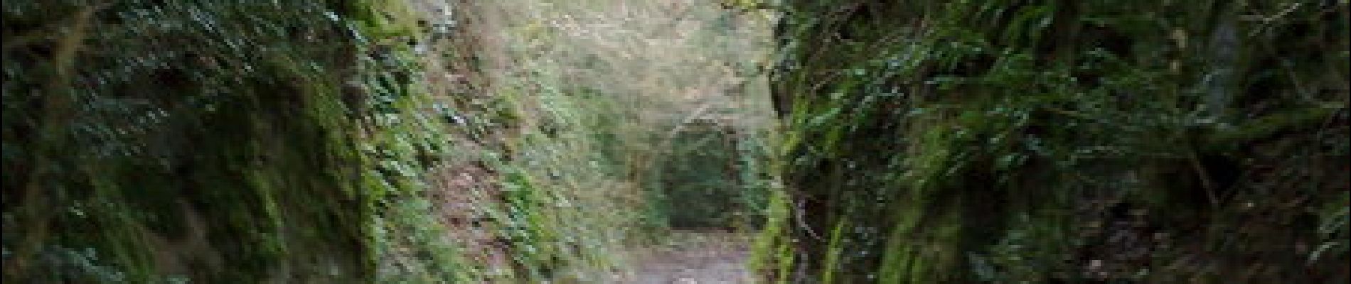 Tour Wandern La Chapelaude - Randonnée La Chapelaude - Photo