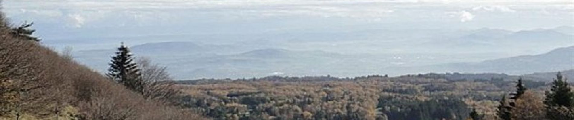 Excursión Senderismo Durtol - Tour du Puy de Dôme - Photo