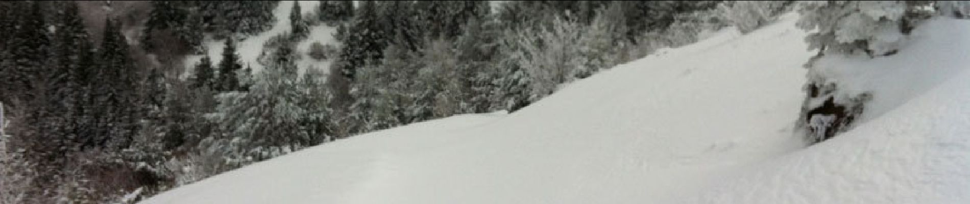 Tocht Sneeuwschoenen Saint-Genès-Champanelle - Le Puy de Lassolas depuis Laschamps - Photo