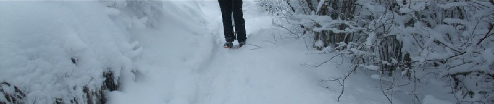 Trail Snowshoes Orcines - Les bacs de Montmeyre et Ceyssat - Photo