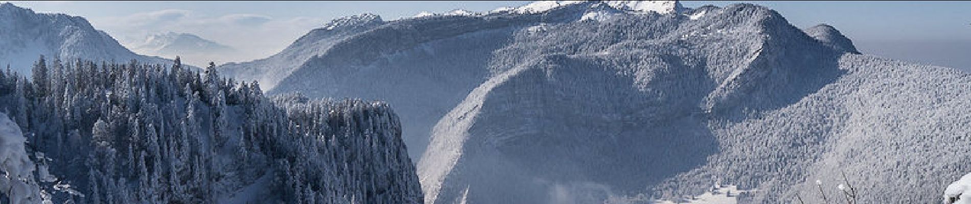 Trail Snowshoes Saint-Christophe-sur-Guiers - Le Belvédère d'Arpison en raquettes, depuis la Ruchère - Photo