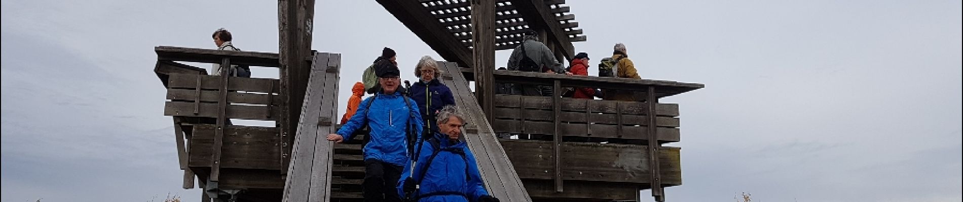 Tour Wandern Bois-d'Arcy - Rigole des Clayes 29/11/2018 - Photo