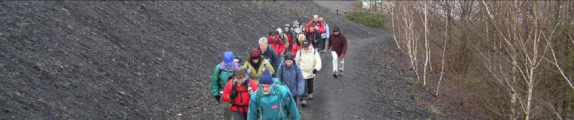 Tocht Stappen Raismes - De l'mare à ch'terril - Photo