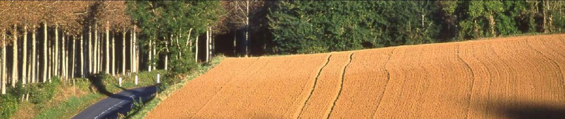 Percorso Marcia Nampteuil-sous-Muret - Du marais au Coteau - Photo