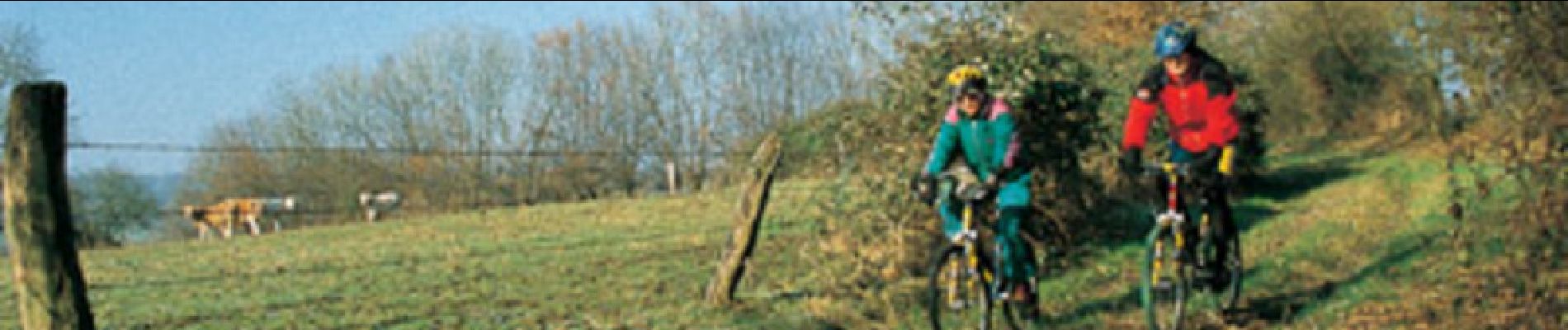 Tocht Mountainbike Lerzy - Le bocage à VTT - Photo