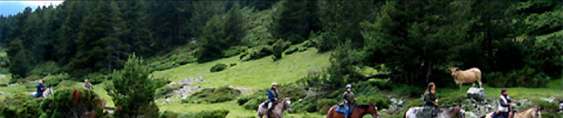 Tocht Paard Les Angles - Le chemin de Vauban - Les Angles - La Llagonne - Photo