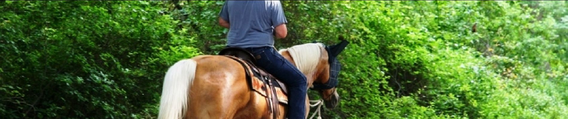 Trail Equestrian Olette - Le Chemin de Vauban - Olette - Villefranche de Confluent - Photo