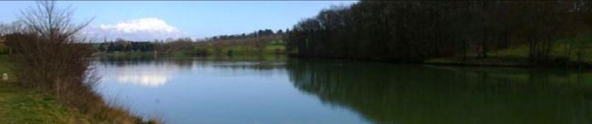 Randonnée Marche Nailloux - Nailloux - Lac de la Tésauque - Photo