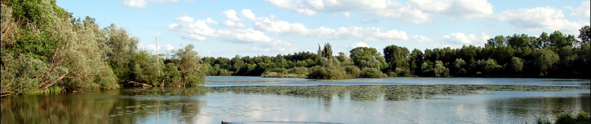 Excursión Senderismo Boves - La réserve naturelle de l'étang Saint-Ladre - Photo