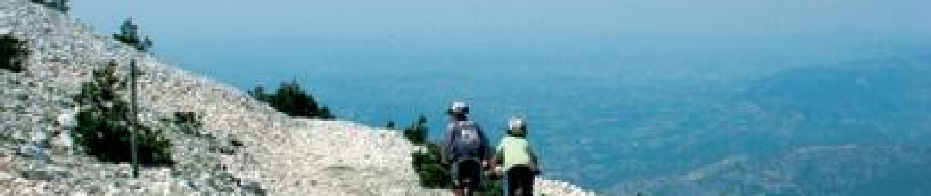 Excursión Bici de montaña Bédoin - La combe Fiole - Photo