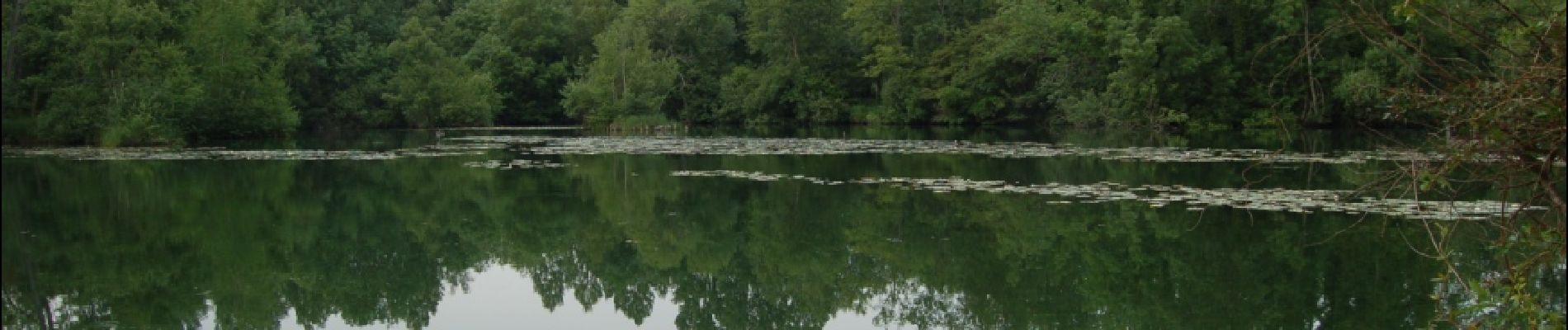 Randonnée Marche Mareuil-Caubert - Les étangs et marais de Mareuil - Caubert - Photo