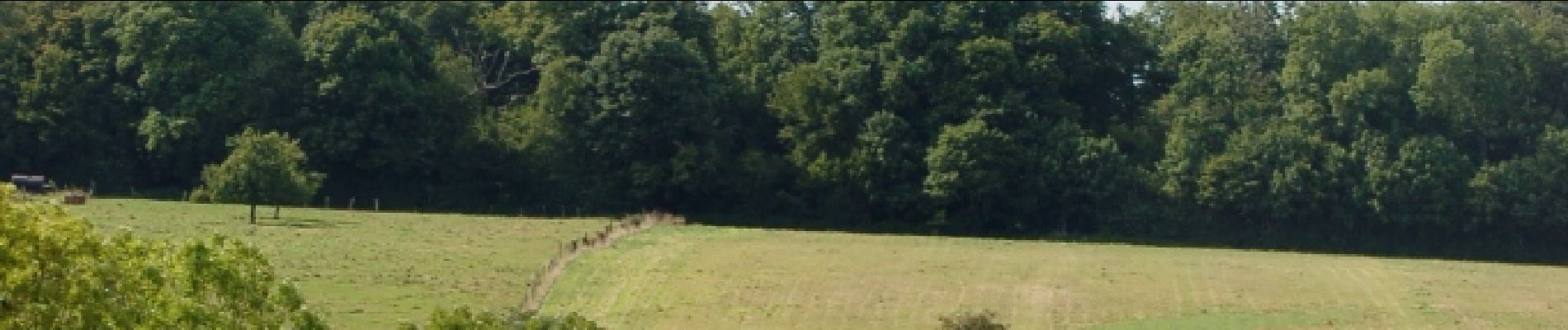 Randonnée Marche Mareuil-Caubert - La Vallée de Frosme - Photo