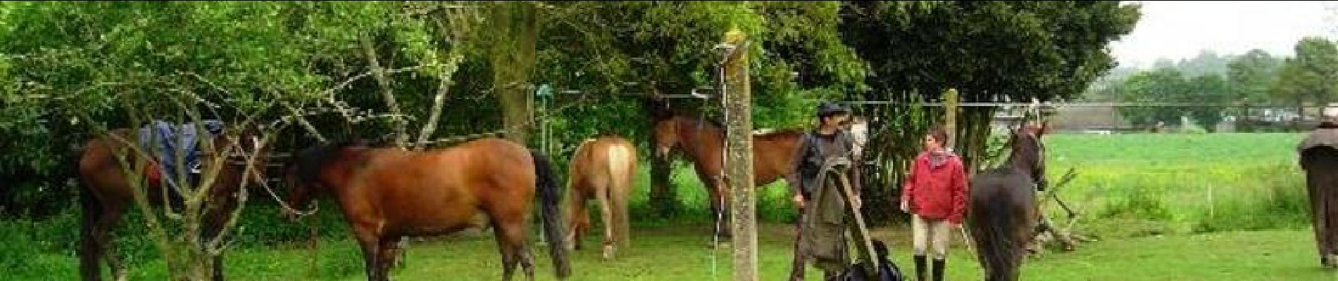 Randonnée Cheval La Ville-ès-Nonais - Dinan - Mont Saint Michel 2 - Photo